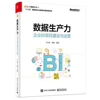 《数据生产力：企业BI项目建设与运营》[95M]百度网盘|pdf下载|亲测有效