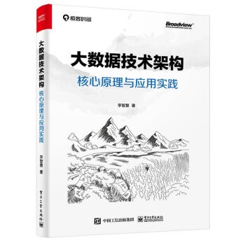 《大数据技术架构：核心原理与应用实践》[76M]百度网盘|pdf下载|亲测有效