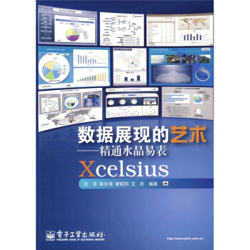 《数据展现的艺术：精通水晶易表Xcelsius》[40M]百度网盘|pdf下载|亲测有效