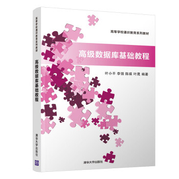 《高级数据库基础教程》[56M]百度网盘|pdf下载|亲测有效