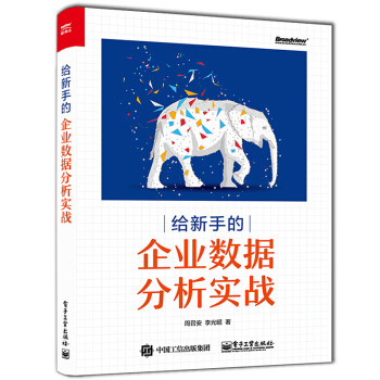 《给新手的企业数据分析实战》[59M]百度网盘|pdf下载|亲测有效
