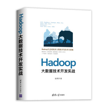 《Hadoop大数据技术开发实战张伟洋著》[38M]百度网盘|亲测有效|pdf下载