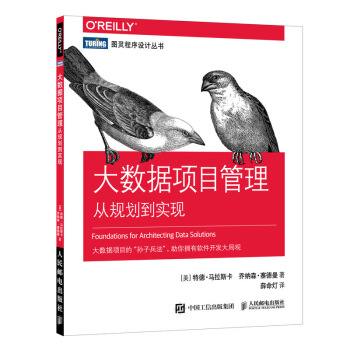 《大数据项目管理从规划到实现》[26M]百度网盘|亲测有效|pdf下载