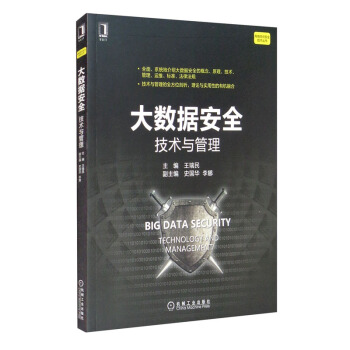 《大数据安全：技术与管理》[20M]百度网盘|亲测有效|pdf下载