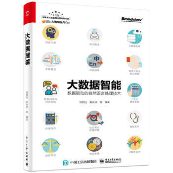 《大数据智能：数据驱动的自然语言处理技术》[33M]百度网盘|亲测有效|pdf下载