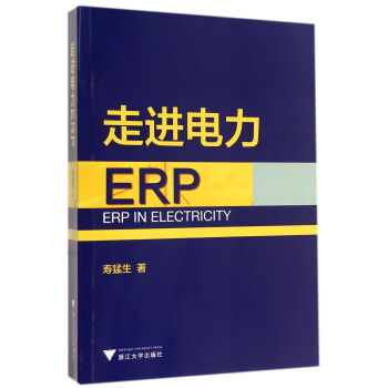 《走进电力ERP》[50M]百度网盘|亲测有效|pdf下载