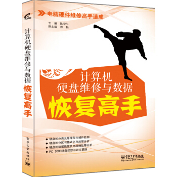 《计算机硬盘维修与数据恢复高手》[22M]百度网盘|亲测有效|pdf下载