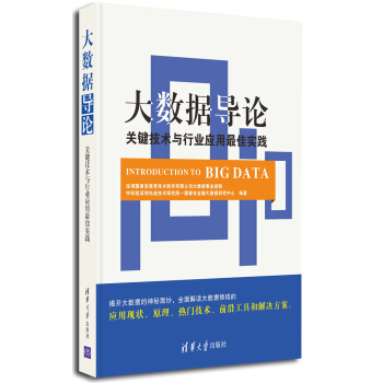 《大数据导论：关键技术与行业应用最佳实践》[55M]百度网盘|亲测有效|pdf下载