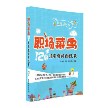 《职场菜鸟天玩爆数据透视表》[41M]百度网盘|亲测有效|pdf下载