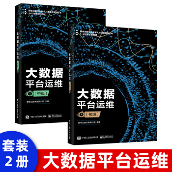 《大数据平台运维新华三技术有限公司大数据平台组件安装配置基础实施简单维护及监》[53M]百度网盘|亲测有效|pdf下载