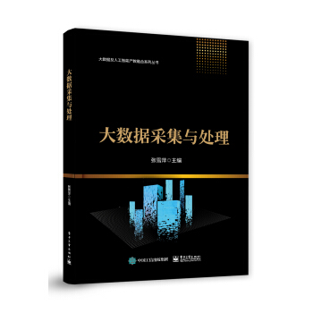 《大数据采集与处理》[20M]百度网盘|亲测有效|pdf下载