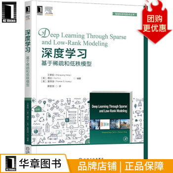 《深度学习：基于稀疏和低秩模型》[41M]百度网盘|亲测有效|pdf下载