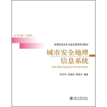 《城市安全地理信息系统》[42M]百度网盘|亲测有效|pdf下载