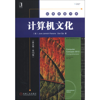 《经典原版书库：计算机文化》[55M]百度网盘|亲测有效|pdf下载