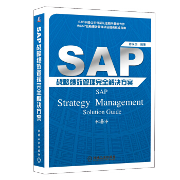 《SAP战略绩效管理完全解决方案》[33M]百度网盘|亲测有效|pdf下载